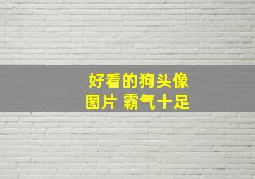 好看的狗头像图片 霸气十足